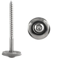 Innensechsrund (TX) mit 20mm Scheibe
