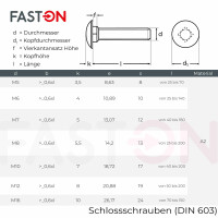 Schlossschrauben M10x50/50 DIN 603 Edelstahl A2