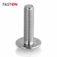 Flachrundschrauben M5x20 mit großem Kopf und Schlitz Edelstahl A2