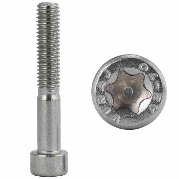 Zylinderschrauben M6x40 Innensechsrund (TX) (ISO 14579) Edelstahl A2