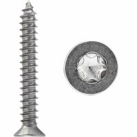 Senk-Blechschrauben 4,8x25 TX Innensechsrund (ISR)...